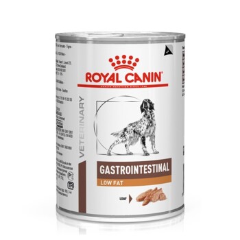 Royal Canin Veterinär-Dosenfutter für Hunde, gekennzeichnet mit "Gastrointestinal Low Fat", mit einer Hundillustration und Futterstücken auf dem Etikett.